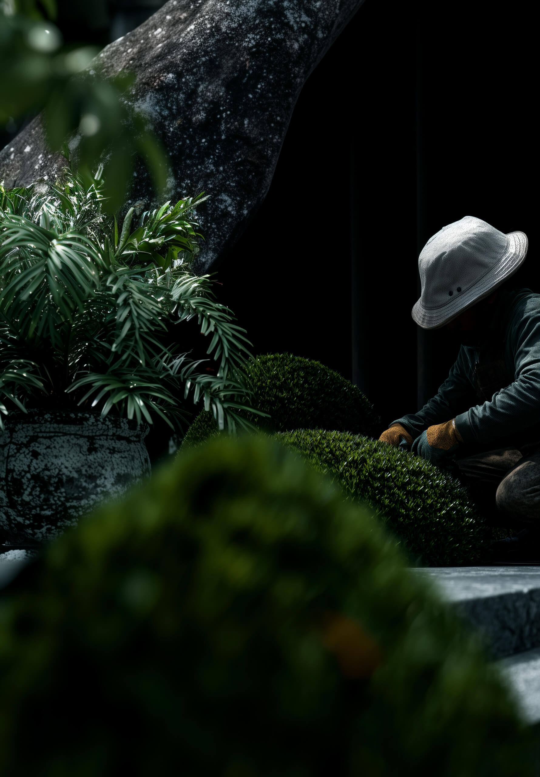 Gärtner formt Buchsbaumkugel mit Handschuhen – professionelle Grünpflege im Privatgarten