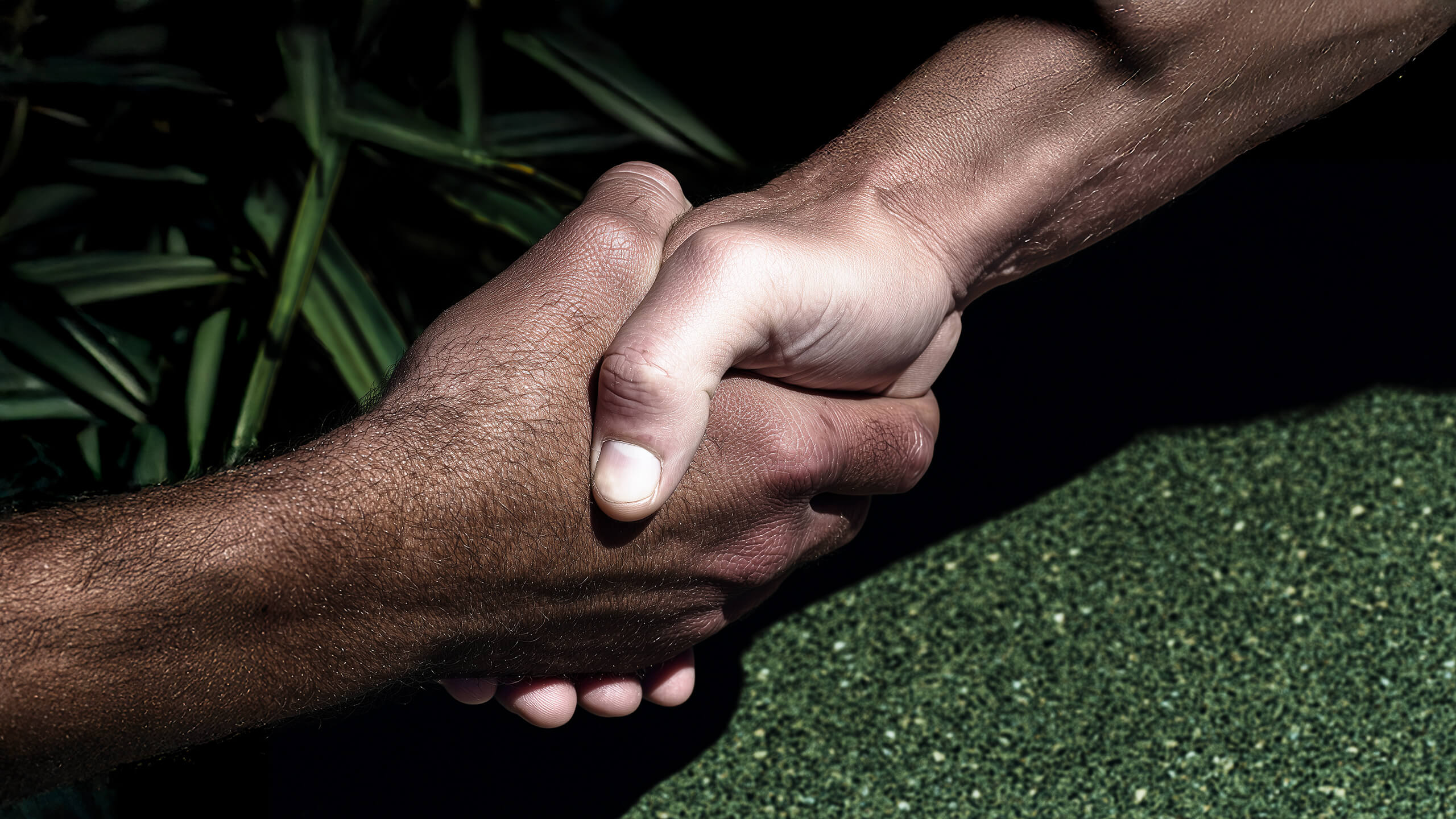 Handshake im Garten – persönliche Beratung und faire Zusammenarbeit im Landschaftsbau